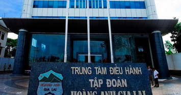HNG liên tục tăng trần, HAG muốn bán 13,3 triệu cổ phiếu trả nợ BIDV