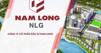 "Ém" loạt tài liệu, kỳ vọng nào cho Nam Long 2024 khi năm qua kinh doanh suy giảm?