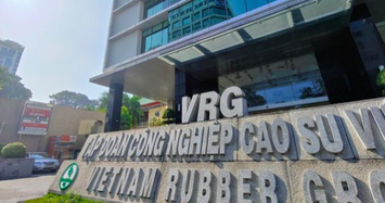 GVR và VCBS phải hoàn trả cho Thủy Điện Đắk R'Tih hơn 141 tỷ đồng