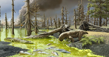 Phát hiện sinh vật bí ẩn hóa thạch trên vách đá bị xói mòn 