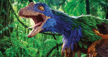 Khôi phục màu sắc của khủng long: Thực chất có sặc sỡ?
