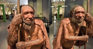 Người Neanderthal tuyệt chủng vì điều đặc biệt này? 