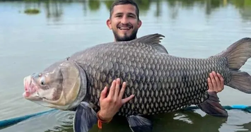 Võ sĩ Sergio Pettis đã bắt được một con cá chép Xiêm khổng lồ nặng gần 60kg