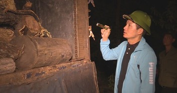 Giám đốc Công an tỉnh Đắk Lắk vi hành chỉ đạo bắt hàng loạt xe gỗ lậu
