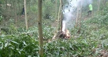 Bộ Quốc phòng thông tin vụ rơi máy bay quân sự tại Nghệ An