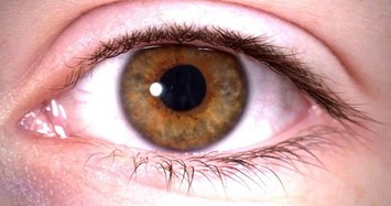 Sự thật sốc về cơ thể người: Mắt bắt nét gấp 10 lần iPhone X