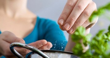 Chỉ 6% người dân sử dụng muối tăng cường i-ốt 