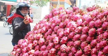Vì sao nông sản Việt gặp khó tại thị trường Trung Quốc?