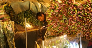 "Đột nhập" chợ hoa lớn nhất Hà Nội trước ngày 20/10