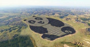 Kỳ lạ trang trại điện mặt trời khổng lồ hình gấu trúc 