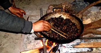 Lên Tả Phìn ăn… thịt chuột rừng gác bếp