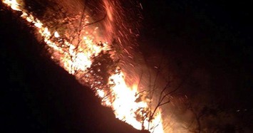 Thanh Hóa: Rừng thông 30 tuổi cháy dữ dội trong đêm