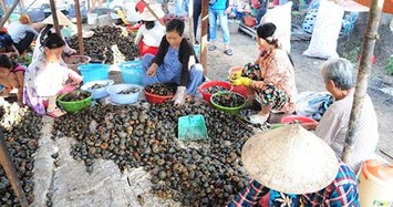 Đi chợ đặc sản “rặt đồng” mùa nước nổi ở ĐBSCL