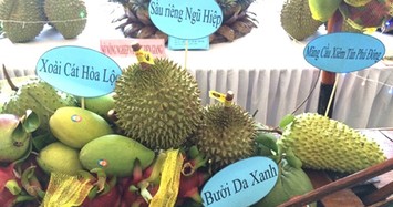 Chỉ 10% trái cây vào được siêu thị, siêu thị “chê” trái cây Việt?