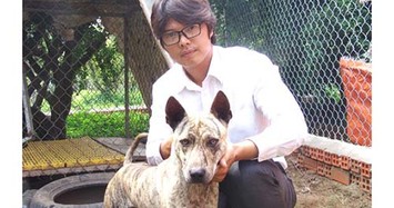 Trai trẻ quyết "săm soi" tìm cho được gen chó Phú Quốc thuần chủng