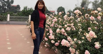 4 mẹo cực dễ để sở hữu vườn hồng "chất lừ" của mẹ 7x Thủ đô