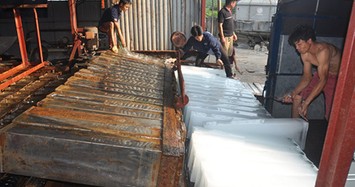 Đại công xưởng sản xuất "vàng lạnh" lớn nhất Bắc Giang vào mùa vải