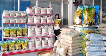 Hành trình lọt Top 3 Gạo ngon nhất thế giới của gạo thơm Sóc Trăng