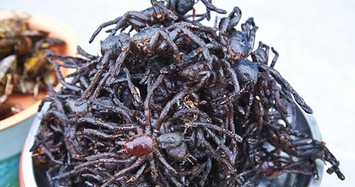 Đặc sản nhện đen sì- "sởn gai ốc" mà vẫn hút khách