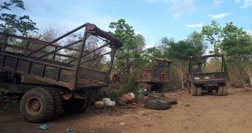 Thông tin bất ngờ vụ bắt trùm gỗ lậu Phượng "râu" ở Đắk Lắk