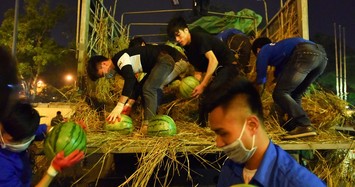 Ảnh: Sinh viên vay tiền mua 20 tấn dưa hấu giúp nông dân Quảng Ngãi
