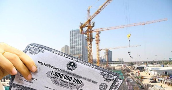 Vinam Land lỗ gần 120 tỷ hậu phát hành 1.500 tỷ đồng trái phiếu