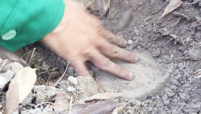 Công an Cà Mau xác nhận mẫu vật trong hũ sành ở nhà máy rác là xương người