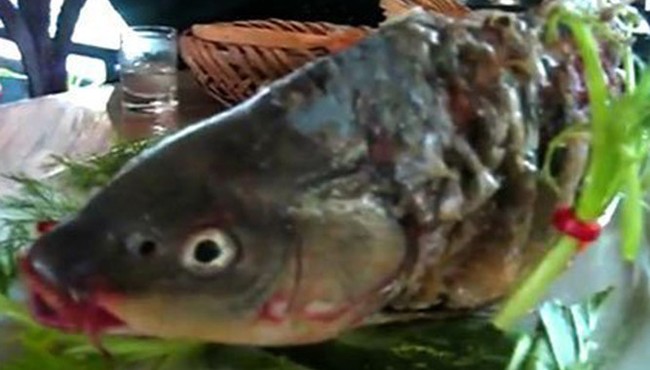 Món cá âm dương gây tranh cãi của Trung Quốc được chế biến thế nào?