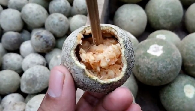 Khám phá loại táo gỗ cứng như đá ăn cực ngon ở Ấn Độ