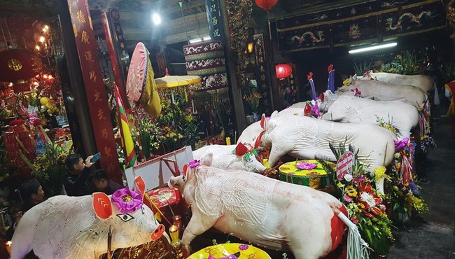 Tận mắt thấy “ông lợn” khổng lồ ở Hà Nội