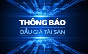 Kiên Giang: Đấu giá khu đất TTTM xã An Sơn huyện Kiên Hải