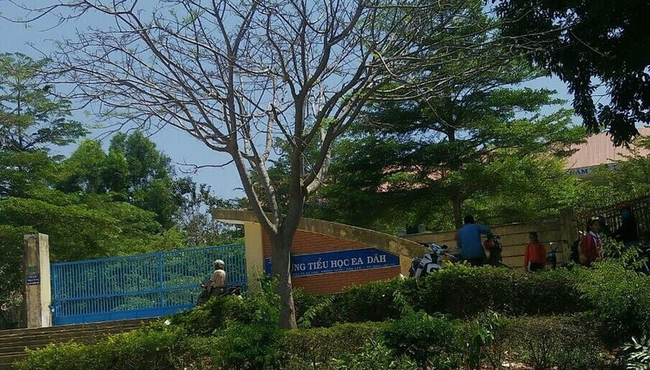 Đắk Lắk: Gói thầu sửa chữa trường Ea Dăh đã về tay nhà thầu Mỹ Nương