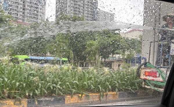Xe bồn tưới cây giữa trời mưa lớn gây xôn xao ở Hà Nội 