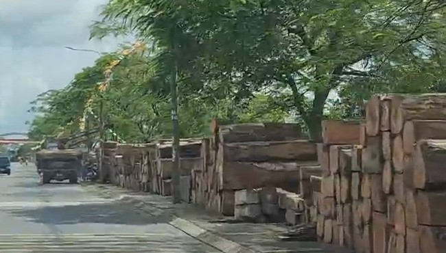 Đồng Nai: 'Chợ gỗ' trên vỉa hè đường Điểu Xiển, phường Tân Biên