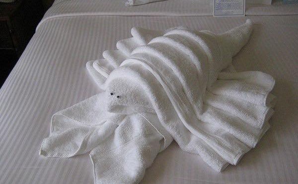 Bất ngờ những 'kiệt tác' từ khăn tắm ở khách sạn