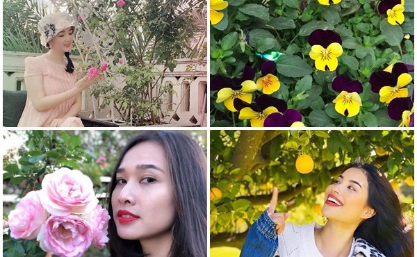 Những sân vườn mướt mát trong biệt thự bạc tỷ của các Hoa hậu Việt
