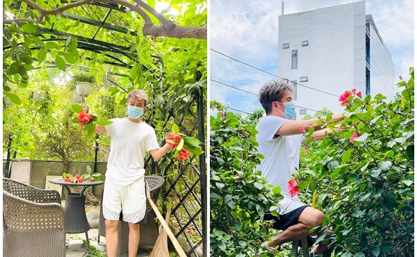 Ngắm khu vườn ngập rau trái trong biệt thự của Đàm Vĩnh Hưng