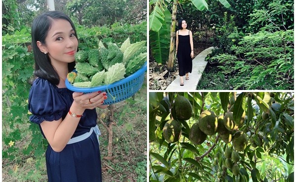Việt Trinh sở hữu biệt thự vườn ngập hoa trái 