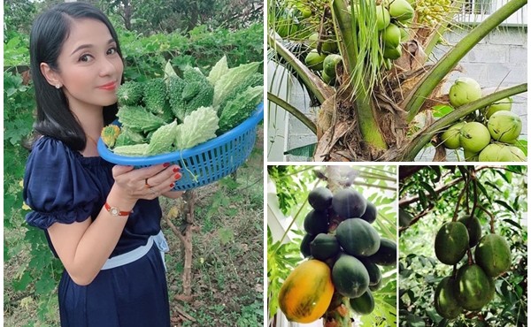Việt Trinh sở hữu nhà vườn 2.500m2 ngập cây trái
