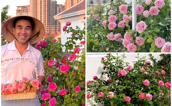 Vườn hồng rực rỡ trong biệt thự của MC Quyền Linh 