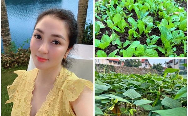 Biệt thự xanh mướt mát cây trái của Hoa hậu Nguyễn Thị Huyền
