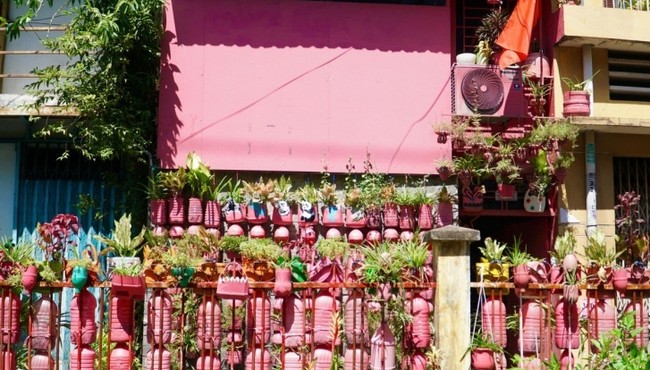 Căn nhà phủ màu hồng gây chú ý ở TP HCM 