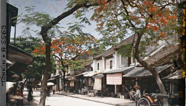 Phố Hà Nội năm 1915 rợp bóng cây xanh qua ảnh màu cực quý 