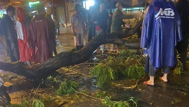 Nhánh cây xanh gãy đè 1 người tử vong trong mưa ở TP HCM