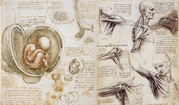 Leonardo da Vinci từng tiên đoán về tương lai chính xác như nào?
