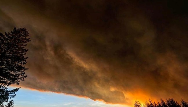 Hàng loạt đám cháy rừng đã tàn phá nhiều thị trấn Mỹ như nào?