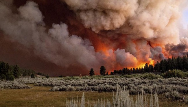 Cảnh cháy rừng dữ dội ở California lúc nắng nóng lịch sử