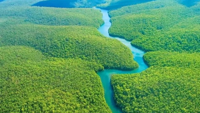 Khám phá 9 bí ẩn của về rừng già Amazon