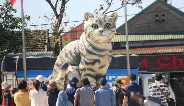 Tạo hình độc lạ linh vật mèo Tết 2023 khiến nhiều người thích thú
