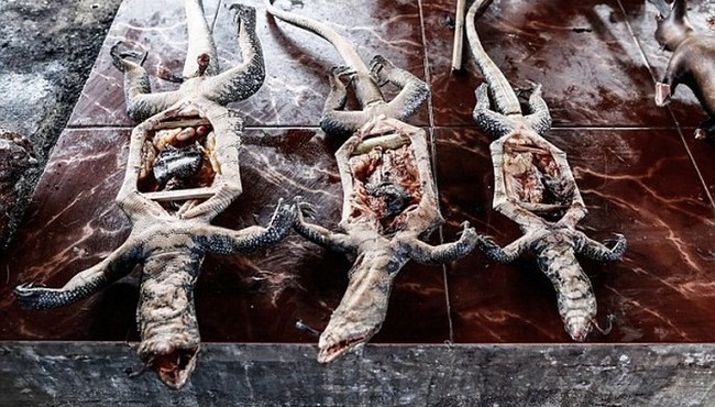 Thằn lằn, chuồn chuồn, thịt dơi... là những đặc sản 'kinh dị' của Indonesia